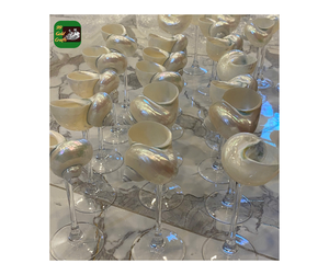 Wholesale Seashell Red Wine Glass, Polished Real Seashell Glass Martini Cup Ocean Wine Glass for Restaurant Wedding Cheap Price - Product Image 5