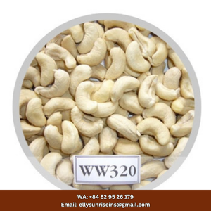Noix de cajou brutes séchées naturelles du Vietnam, type de culture courant SUNRISE INS, en vrac pour collation (ELLY-WA +84 829 526 179) - Product Image 5