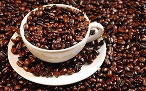 กาแฟโรบัสต้าเวียดนามคั่วบดพรีเมียม คั่วระดับกลาง รสชาติกลมกล่อม มีคาเฟอีน 0.5 กก. เก็บรักษาในที่เย็นแห้ง อายุการเก็บรักษา 12 เดือน - Product Image 3
