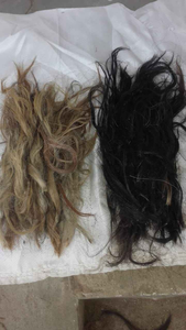 Brosse de décoration pour la maison en poils de queue de vache naturels polis - Product Image 6