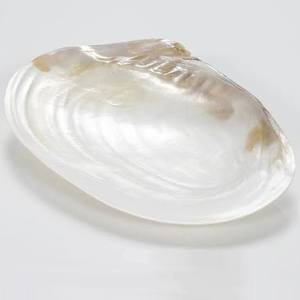 Plato Decorativo con Incrustaciones de Madreperla, para Decoración de Mesa Navideña, Recepciones de Año Nuevo y Recuerdos de Boda, Vietnam - Product Image 1