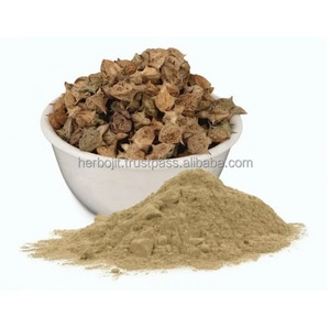 Fórmula herbal en polvo de extracto de Tribulus Terrestris de alta calidad para el soporte de la hormona de la vitalidad de la resistencia y el cuidado del bienestar - Product Image 2
