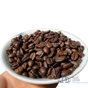 เมล็ดกาแฟโรบัสต้าดาคลักเวียดนามขายดีที่สุด คุณภาพสูง คั่วกลาง รสหวาน กลิ่นหอมเข้มข้น เพิ่มพลังงาน - Product Image 1
