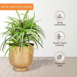 Pots de plantes en métal doré, pots ronds d'intérieur avec trous de drainage, pots de fleurs décoratifs pour la maison, le jardin, le bureau - Product Image 2