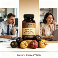 Capsules d'énergie naturelle OEM SYC Brand Maca Root Panax Ginseng pour la santé masculine, formule 10-en-1, 60 capsules
