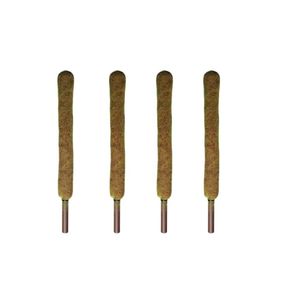 Poteau en coco naturel de 2 pieds (24 pouces) en fibre de coco pour plantes grimpantes - Product Image 3