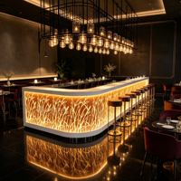 Comptoir de bar incurvé en forme de L de grande taille, design pour restaurant musical, hôtel, salon VIP, comptoir de bar de luxe avec LED RGB