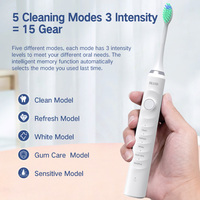 Brosse à dents électrique sonique IPX7, étanche, à poils souples, blanchiment des dents, charge sans fil portable, pour adulte