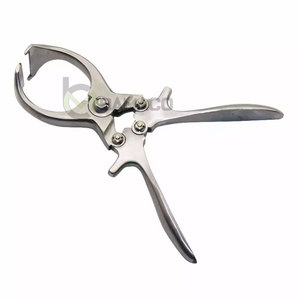 เครื่องมือผ่าตัดสัตว์ คีมตัดอวัยวะเพศสัตว์ สแตนเลส 23 ซม. ขายดี บริการ OEM - Product Image 3