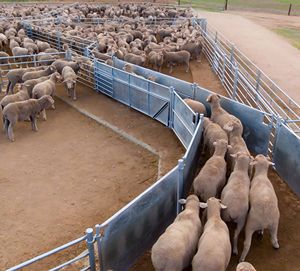 Fabricant de portails de cour de haute qualité, Golden Factory, <span class=keywords><strong>portail</strong></span> <span class=keywords><strong>coulissant</strong></span> pour bétail, <span class=keywords><strong>portail</strong></span> d'élevage de bétail - Product Image 4