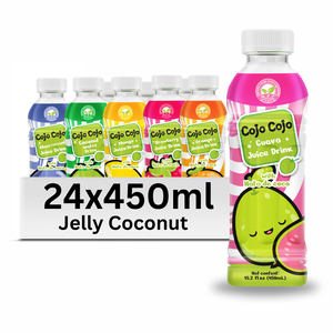 Bebida de jugo de gelatina de coco con Nata De Coco 450mL VINUT OEM Etiqueta privada MOQ bajo - Product Image 1