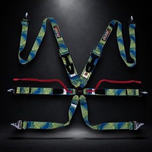 Professional FIA 8853 2016 Six Point Racing Harness SPORT PLUS 4 Ultra <b>Light</b> Seat Belt With <b>Pull</b> Down System OEM ODM - Product Image 1