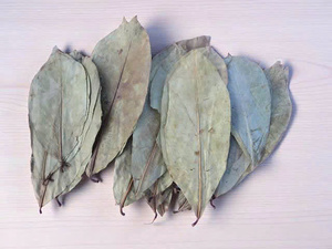 Dried Soursop Leaves Fermented Broken <b>Tea</b> Brew Hot Water Organic Health <b>Tea</b> Non Sugar 50gr <b>Box</b> Packaging EXPAD CO Grade a - Product Image 3