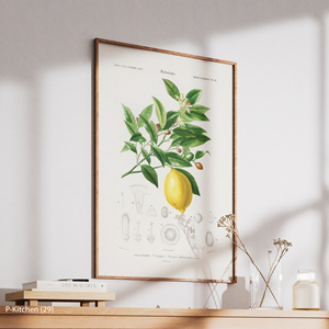Arte Mural Moderno para Días Festivos, Ilustración Botánica de Limón, Póster Impreso en Lienzo, Decoración Minimalista Escandinava para Cocina - Product Image 4