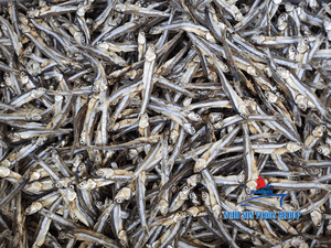 Anchois séchés du Vietnam entiers, séchés au soleil, anchois blancs, fournisseur en gros //Mme. Reina// 2026 - Product Image 4