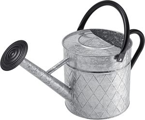 Eco Friendly Stylish Galvanized <b>Iron</b> Water Can with Decorative Rustic Finish for Modern Home Garden Accessories - Product Image 3