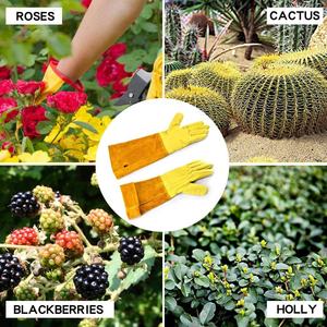 Hot Sale Long <b>Gardening</b> Work <b>Gloves</b> for <b>Ladies</b> Make Custom Design High Quality Leather Yellow Hand Safety Cactus Garden <b>Gloves</b> - Product Image 6