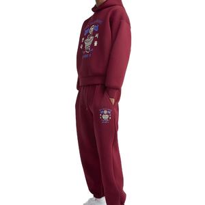 Sudaderas de Invierno de Alta Calidad 100% Algodón, con Logotipo Personalizado Impreso, Bordado y Tejido a Crochet, Tallas Grandes, para Hombre, Marca Personalizada - Product Image 1