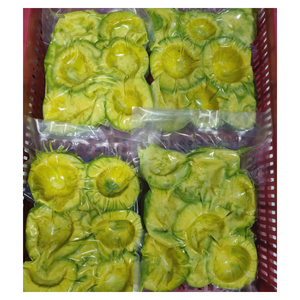 ผู้ส่งออกอะโวคาโดแช่แข็งจากเวียดนาม นำเสนออะโวคาโด IQF คุณภาพพรีเมียม รสชาติครีมมี่ตามธรรมชาติ สำหรับอุตสาหกรรมอาหารระดับโลก - Product Image 1
