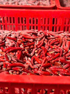 Chili rojo congelado al por mayor/Chiles congelados IQF-Sin conservantes, cosecha fresca, limpiado y empaquetado para mayor comodidad/Sra. Lima - Product Image 5