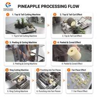 Ananas-ontdop-, -schil-, -ontpitter- en -snijmachine, ananasverwerkingsmachineset voor ananascilinders, -ringen en -blokjes