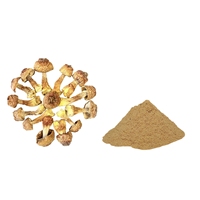 Poudre de champignons Agaricus blazei Royal Sun