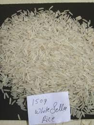 Arroz Basmati Sella Blanco 1509, Grano Extra Largo, No Pegajoso, para Biryani o Pulao Estilo Restaurante, Directo del Molino de la India - Product Image 4