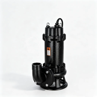 Pompe submersible triphasée SQHB WQ 30HP 8 pouces 300m³/h 15m de hauteur de refoulement pour l'alimentation en eau et le drainage industriels et municipaux