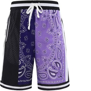 Custom Basketball High Street Hip-Hop Shorts OEM Customized Mesh Basketball Shorts Men's Gym Shorts Athletic - Product Image 6