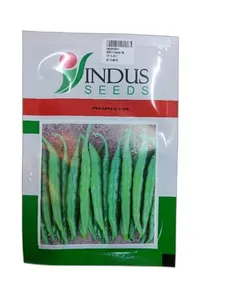 เมล็ดพริกสำหรับการเพาะปลูกเพื่อการเกษตร ให้ผลผลิตสูง อายุการเก็บรักษา 12 เดือน ยี่ห้อ Cradle of Life - Product Image 6