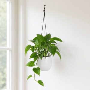 Modern <b>White</b> Metal Hanging <b>Planter</b> For Indoor Plants Minimalist Ceiling Hanging Pot With Adjustable Rope Hanger For Home Decor - Product Image 1