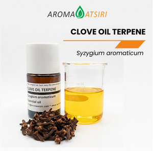 AROMA ATSIRI INDONESIA Huile de clou de girofle, terpène, huile essentielle pure à 100%, distillée à la vapeur, Syzygium aromaticum, aromathérapie, parfum épicé - Product Image 1