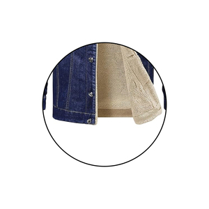 Veste en jean pour homme, coupe classique, col rabattu, doublure en sherpa, épaisse, style décontracté d'hiver, couleur unie, fermeture à boutons - Product Image 4