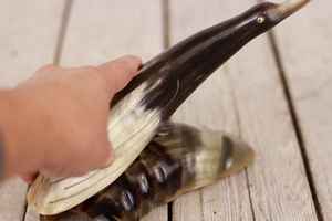 ของตกแต่งทำจากเขาสัตว์ งานแฮนด์เมด ดีไซน์ธรรมชาติ ให้ลุคตกแต่งที่ดูเป็นของแท้ เหมาะสำหรับตกแต่งภายในบ้าน ราคาประหยัด - Product Image 6