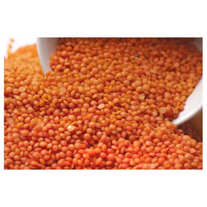 Lentilles Rouges de Qualité Export en Vrac – Fournisseur de Lentilles Naturelles Saines pour les Marchés Alimentaires Mondiaux - Product Image 2