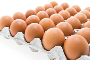 Venta Directa de Granja en los Países Bajos de Huevos de Gallina Orgánicos Marrones / Huevos de Pollo de Engorde en Venta / Proveedor de Huevos de Gallina de Granja - Product Image 4