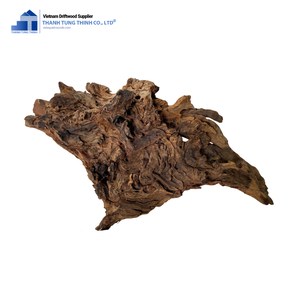THANH TUNG THINH Branche de bois flotté naturelle de forme irrégulière, décoration écologique pour aquarium, utilisation en intérieur - Product Image 6