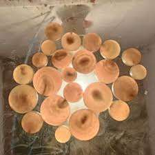 ปุ่มเปล่าสีฮอร์น - Product Image 2