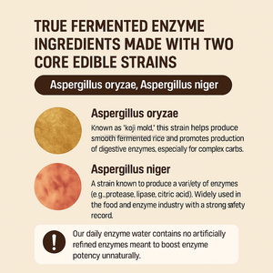 Poudre de thé enzymatique nettoyante quotidienne avec goût d'orge rôti 30 bâtonnets Formule OEM Corée - Product Image 5