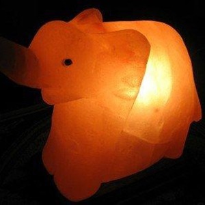 Dolphin Shape Himalayan <b>Salt</b> Lamp Duck Shape Himalayan Pink Dolphin <b>Salt</b> Lamp 100% Organic Hand Curved Led Light For Decoration - Product Image 5