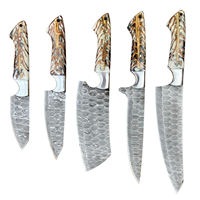 Ensemble de couteaux de chef en acier Damas, ensemble de couteaux de cuisine cinq pièces, couteaux de boucher et de filetage, couteaux à manche en pin blanc