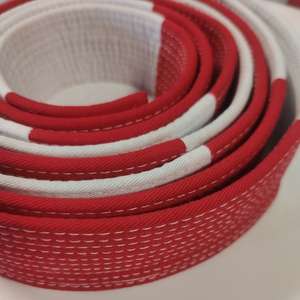 Ceinture de Kung Fu Rouge Brodé pour Moine Shaolin, Arts Martiaux Wushu, Karaté, Taekwondo, Écharpes pour Uniformes et Vêtements de Wing Chun - Product Image 3