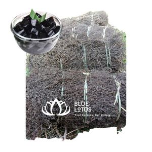 Poudre de gelée de plantes noires biologiques et durables, faible en calories, dessert à base de plantes asiatiques pour les boutiques de Boba – Éco-responsable – Meilleures ventes - Product Image 1