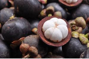 มังคุดเกรดพรีเมียม A สดใหม่ รสหวาน สีม่วง ผลไม้เมืองร้อน สำหรับรับประทานสด ขายปลีกในซูเปอร์มาร์เก็ต ส่งออกเวียดนาม - Product Image 2
