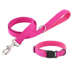 Collar para mascotas con correa larga a juego, ajustable, transpirable, con hebilla metálica, anillo en D y asa para facilitar el paseo con el perro. - Product Image 1