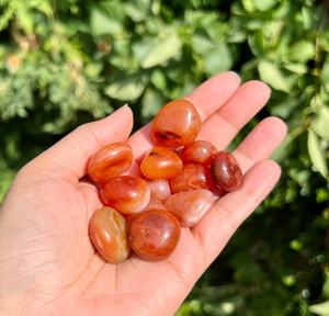 Piedras Preciosas de Cornalina Pulidas a Mano al por Mayor, Calidad Premium, Ágata Muntaha Metafísica, Decoración Duradera para el Hogar y Bodas - Product Image 1