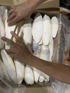 SEGURO COMERCIAL HUESO DE SEPIA CON COLGADOR DE METAL PARA ALIMENTOS PARA MASCOTAS BLISTER EMBALAJE A GRANEL - Product Image 6