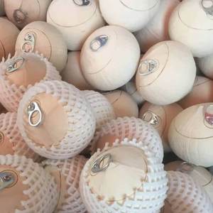 Coco pulido de fácil apertura, grado de exportación de Vietnam Ben Tre para importadores - Product Image 1