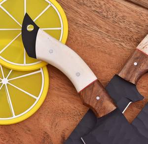 Juego de Cuchillos de Chef con Recubrimiento en Polvo y Mangos de Hueso y Madera de Palisandro, Juego de Cinco Cuchillos de Cocina Profesionales Hechos a Mano Personalizados OEM - Product Image 2