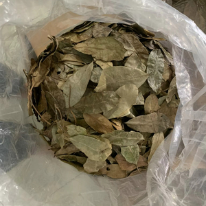 โรงงานเวียดนามจำหน่ายใบเต้าร้อยปีกแห้ง ชาสมุนไพรธรรมชาติ ขายส่งจำนวนมาก ผู้ผลิต ผู้ส่งออก - Product Image 1